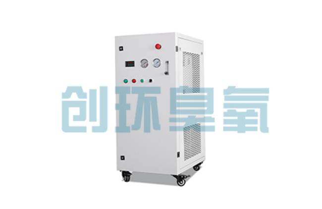 海北比传统换水更高效？臭氧发生器在石斑鱼养殖中的水质净化原理解析
